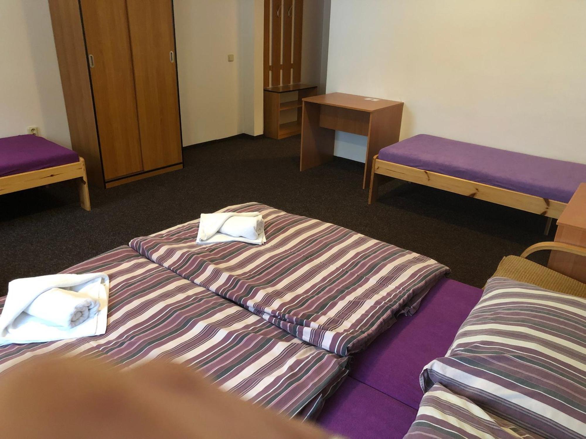 Hotel Bartosovice Bartosovice v Orlickych Horach Екстер'єр фото